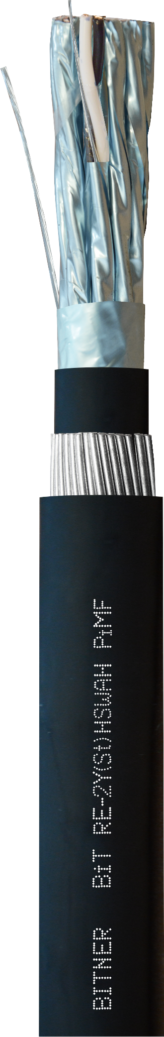 BiT RE-2Y(St)HSWAH PiMF, 300V